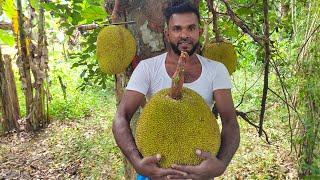 Traditional village jackfruit recipe | spice jackfruit - Village cooking channel