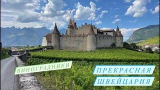 Виноградники Лаво и замок Эгль. Путешествие по Швейцарии и Лихтенштейну. Первая серия.