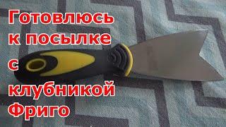 Клубника Фриго. Подготовка к посадке. Отказ от минваты,  приспособление для посадки, грунт, стеллаж