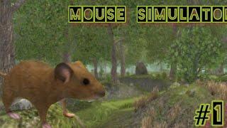 Вижывание за Мышу. 1 серия прохождение игры Mouse SImulator. НАЧАЛО!!!