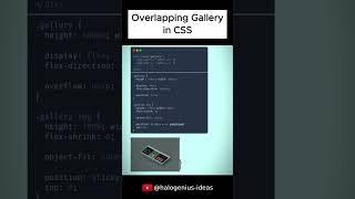 Overlapping Gallery in #css #frontend #webdevelopment