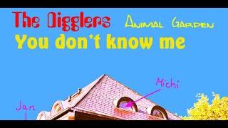 The Digglers "You don't know me"