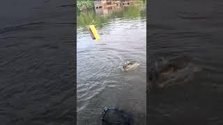Hooking into a big fish