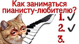 План урока фортепиано. Как пианисту-любителю построить уроки? Сколько заниматься на фортепиано?