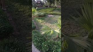 garden view # mumbai # viral video # viral shorts # viral reel