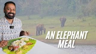 ഒരു ആനകുടുംബവും കട്ടപ്പന ഊണും | An elephant family and Kattappana homely meals with fish fry