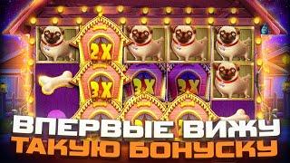 ВЫБИЛ САМУЮ ОКУПАЕМУЮ БОНУСКУ В THE DOG HOUSE! #crazytime #егоркрид #онлайнказино