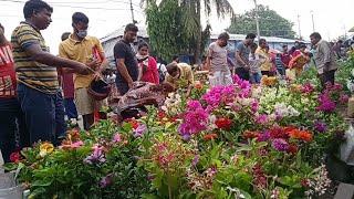 Galiff Street Flower Plants Market || Madhumalati Plant Summer Zinnia Orchid Lily Flower Plants
