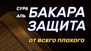 СУРА АЛЬ БАКАРА ЗАЩИТА ОТ ВСЕГО ПЛОХОГО, СЛУШАЙТЕ КАЖДЫЙ ДЕНЬ.