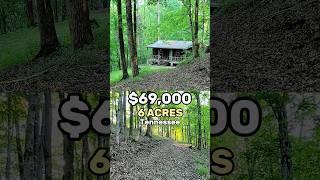 Fixer-Upper with Forest Dreams on 6 Acres of Potential. $69,000, Tennessee