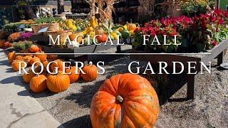 Magical Roger’s Gardens Fall Harvest 100’s Of Pumpkins