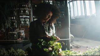Cinematic lighting Setup Simple Methods