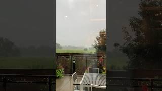 #rain #relaxing #nature #relaxingmusic #oakville #canada #youtubeshorts #shorts  #rothel13