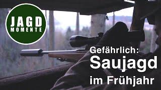 Gefährlich: Saujagd im Frühjahr | JagdMomente | 2022 | JagenNRW