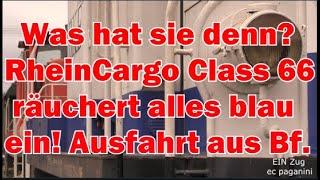 Was hat DIE denn?! RheinCargo Class 66 räuchert alles blau ein bei Ausfahrt aus Plochingen!