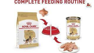 Royal Canin German Shepherd Adult Dry Dog Food Review