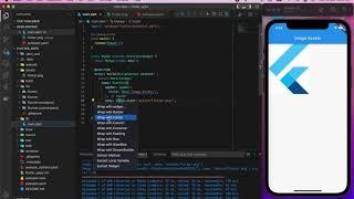 Image Assets in Flutter using VS Code