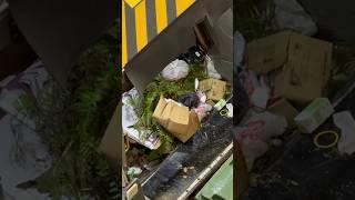 Garbage truck crushes  & ! #shorts