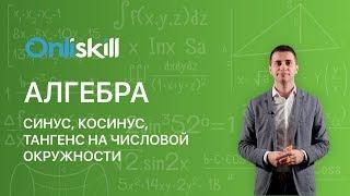 АЛГЕБРА 10 класс: Синус, косинус, тангенс на числовой окружности