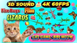 CAT GAMES BiBi TV | Ultimate Cat TV Compilation SPECIAL VOLUME #61 | 3 HOURS | Game On Screen 