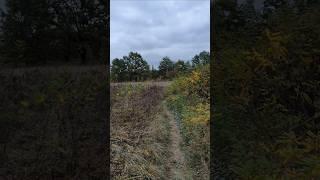 Чудова Панорама Українського лісостепуWonderful panorama of the Ukrainian forest-steppe 