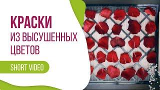 Как сделать краски своими руками? #shorts #timelapse #краски