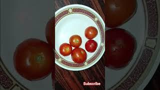 #short#priyas world #food #nothingimposibleinthisworld #
