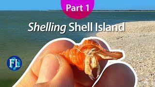 Take us to Shell Island! Part 1 of 2, Ten Thousand Islands Shelling