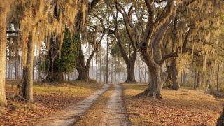 Stony Creek: An Exclusive 1300 Acre Waterfront Sporting Community In South Carolina's Lowcountry!