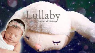 Fluffy Sheep  Make Bedtime A Breeze With Soft Sleep Music【Baby Cactus Pure Kids】part23