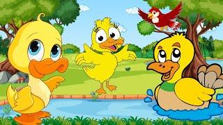 Five Little Ducks (vocal) | Sing Along & LearnCounting! | Nursry rhymes | ChoChoTVKids