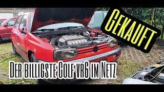 Der Billigste Golf vr6 im Netz gekauft! | Auto steht seit 4 Jahren | Golf Cabrio vr6 Turbo Projekt