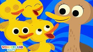 15 Little Ducks - Baby Songs - Nursery Rhymes & Kids Songs | #nurseryrhymes #wonderland