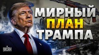 ️Трамп придумал, как закончить войну: мирный план и условия США. Расплата для России