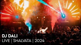 DJ DALI | Live at Shalvata | 2024