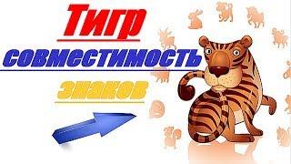 Тигр совместимость знаков