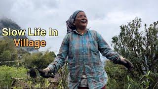 Slow Life in village- cutting weeds in garden, fish mint recipes ( local)