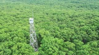 Udell Fire Lookout Tower Manistee County, Michigan drone footage