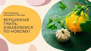 ВЕРШИННАЯ ГНИЛЬ.  Избавляемся кальцием, но по-новому!