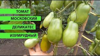 Томат МОСКОВСКИЙ ДЕЛИКАТЕС ИЗУМРУДНЫЙ, очень вкусное томатное чудо с фруктово-томатным вкусом