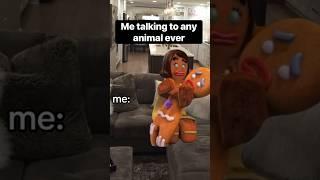 How I introduce myself to animals (Im going to love you forever and ever and ever)