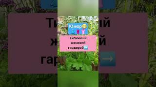 Юмор!Типичный женский гардероб 🩱 #подпишись #юмор #видео #приколы