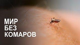 Что если ВСЕ комары вымрут