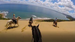 Horse Riding down a huge sand dune in New Zealand