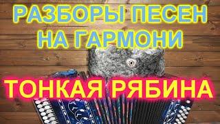 РАЗБОРЫ! Под гармонь! Тонкая рябина!