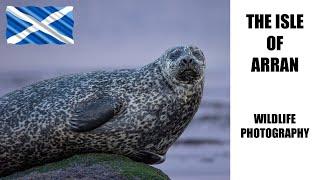 Wildlife Photography on the Isle of Arran, Scotland