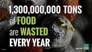 Help Us End Food Waste | HuffPost #Reclaim