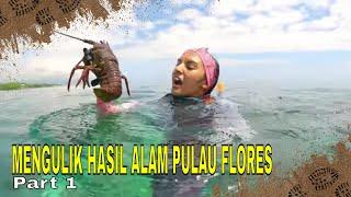 MENGULIK HASIL ALAM PULAU FLORES | JEJAK PETUALANG (30/04/24) Part 1