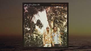 Young Gun Silver Fox -  Tip Of The Flame