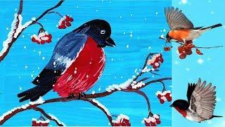 Как нарисовать снегиря. How to paint a bullfinch.